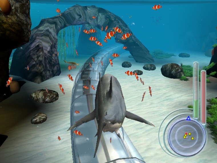 Un requin rôde dans le coin