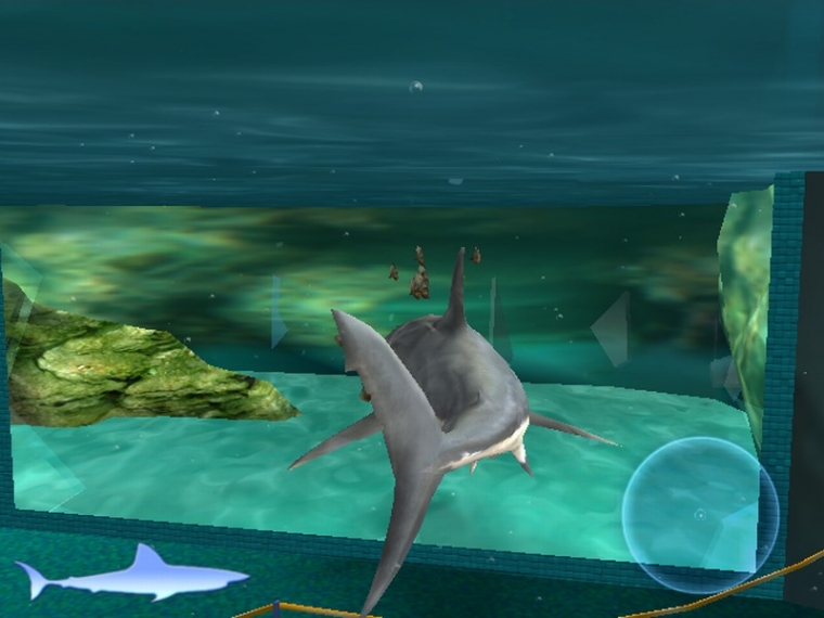 Un requin rôde dans le coin