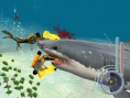 Un requin rôde dans le coin