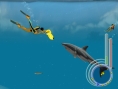 Un requin rôde dans le coin