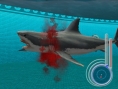 Un requin rôde dans le coin
