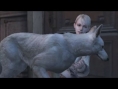 Haunting Ground nous rend dément