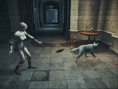 Haunting Ground nous rend dément