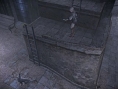 Haunting Ground nous rend dément