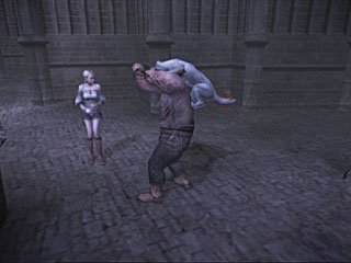 Haunting Ground nous rend dément