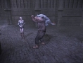 Haunting Ground nous rend dément