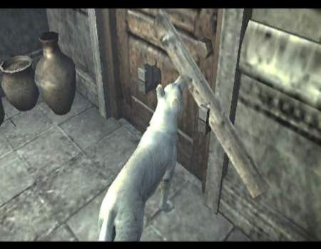 Encore des images d'Haunting Ground