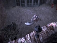 Encore des images d'Haunting Ground