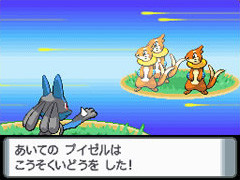 Pokémon Diamond / Pearl : la totale