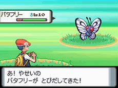 Pokémon Diamond / Pearl : la totale