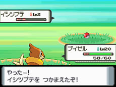 Pokémon Diamond / Pearl : la totale