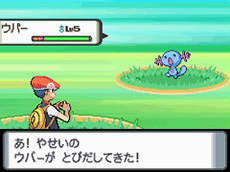 Pokémon Diamond / Pearl : la totale