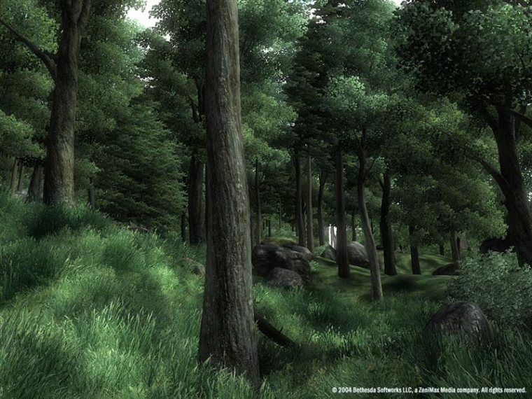 Oblivion se dévoile sur PC