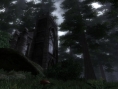 Images Elder Scrolls IV Oblivion