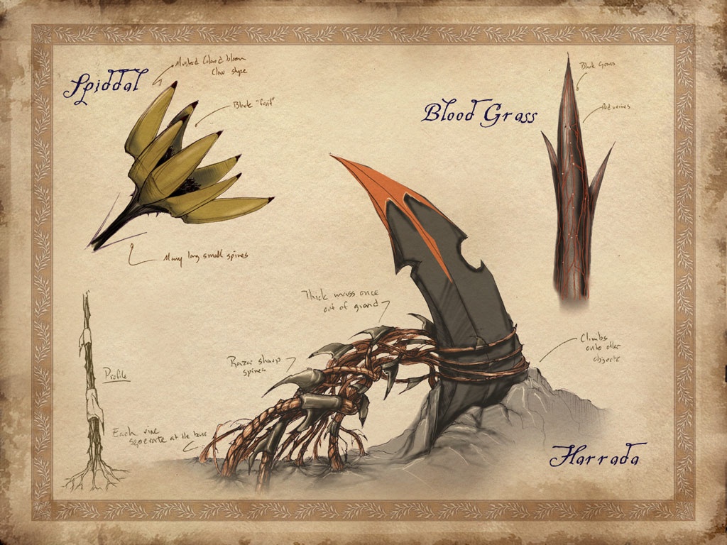 Vidéo The Elder Scrolls IV Oblivion