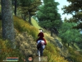 Oblivion imagé sur Xbox 360 et PC