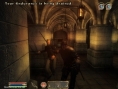 Oblivion imagé sur Xbox 360 et PC