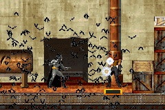 Une chauve-souris dans la GBA