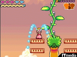 Super Princess Peach en images