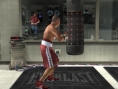 Fight Night Round 2 en musique
