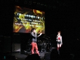Sex Machineguns en concert