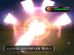 Pokémon XD revient en images