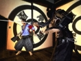 Le ninja en action
