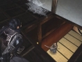 Le ninja en action