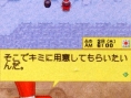 Harvest Moon DS : Scans Famitsu