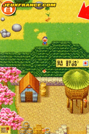 Harvest Moon DS : Scans Famitsu