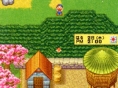 Harvest Moon DS : Scans Famitsu