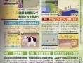 Harvest Moon DS : Plus d'images