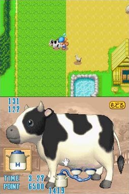 Harvest Moon DS : Plus d'images