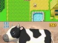 Harvest Moon DS : Plus d'images