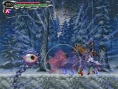Le titre définitif de Castlevania DS ?