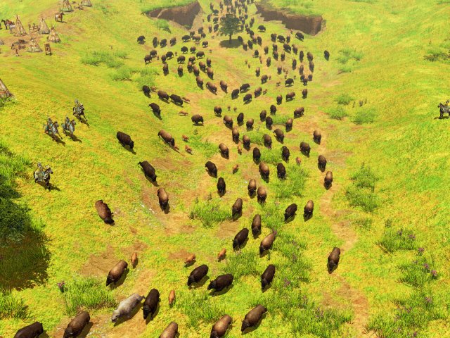 Age of Empires 3 : Premières images