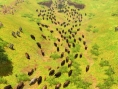 Age of Empires 3 : Premières images