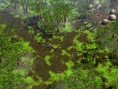 Age of Empires 3 : Premières images