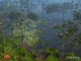 Age of Empires III: flopée d'images