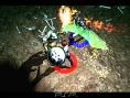 Untold Legends : Images du multi