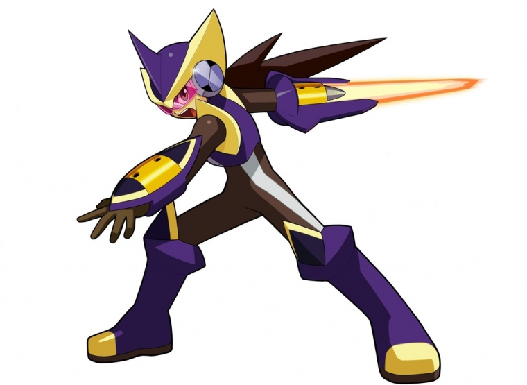 Megaman Battle Network 5 en images