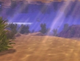 RC Tycoon 3 Soaked ! se dévoile