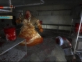 Condemned : des images malsaines