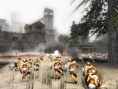 Spartan Total Warrior