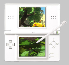 Viva Pinata sur Nintendo DS ?