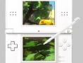 Viva Pinata sur Nintendo DS ?