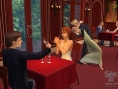 Vidéo Les Sims 2 : Nuits de Folie