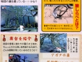 Okami en images