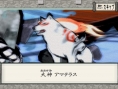 Okami se dessine en images