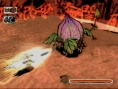 Okami expose ses oeuvres